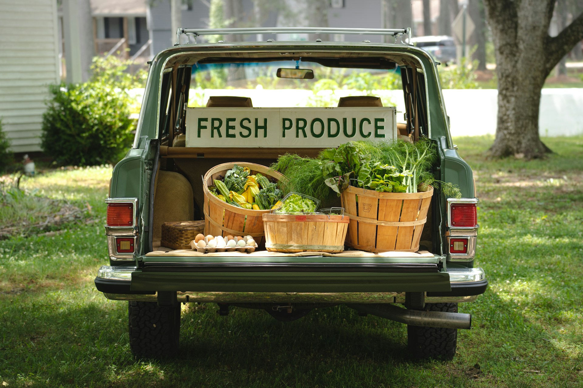 Fresh produce growing on our farmland
